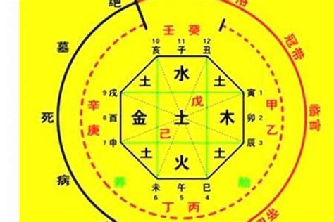 八字 十神 查詢|八字十神在线排盘,十神四柱排盘查询,四柱十神排盘